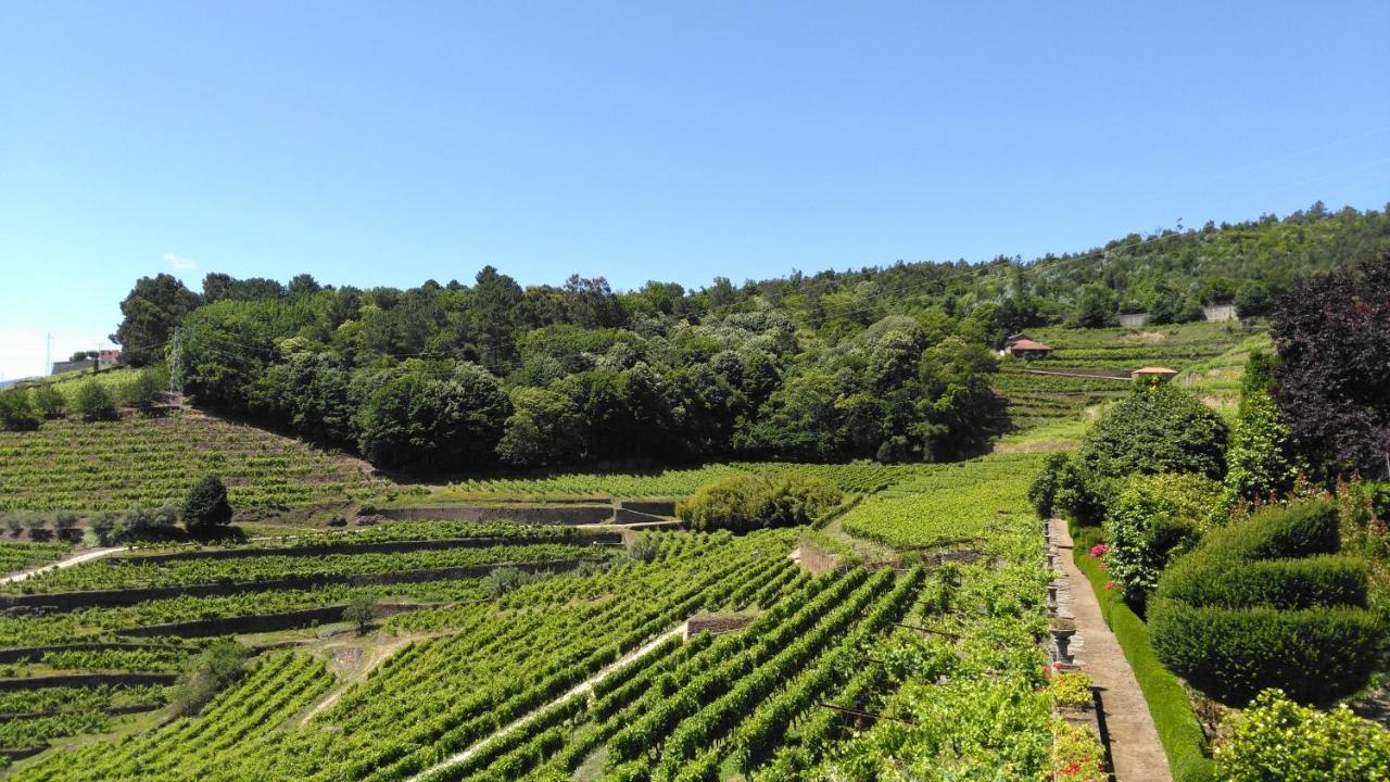 Quinta De Santa Julia Villa Peso da Régua Exteriör bild