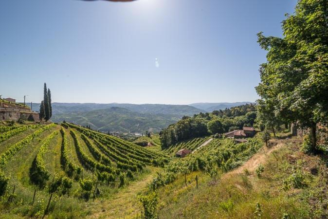 Quinta De Santa Julia Villa Peso da Régua Exteriör bild