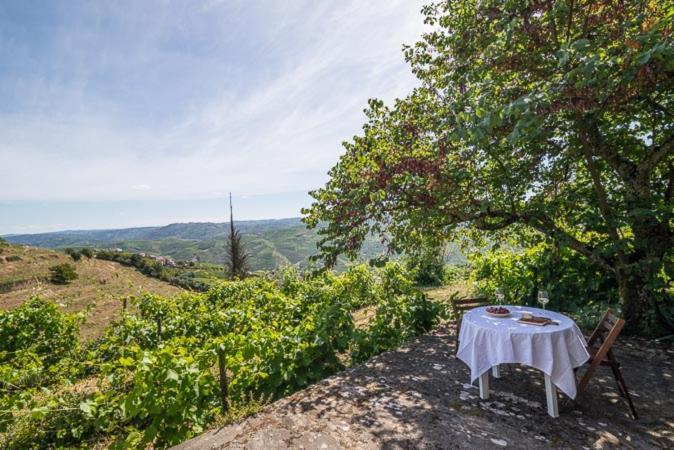 Quinta De Santa Julia Villa Peso da Régua Exteriör bild