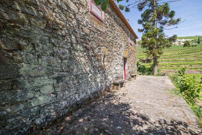 Quinta De Santa Julia Villa Peso da Régua Exteriör bild