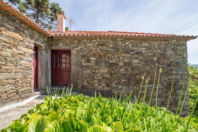 Quinta De Santa Julia Villa Peso da Régua Exteriör bild